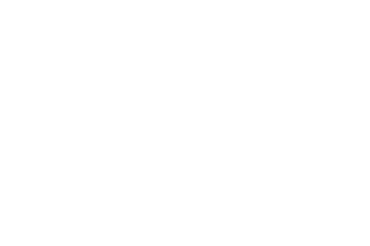 Raiffeisen Information Services Logo