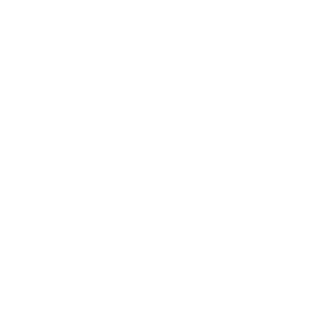 Bruckner_group_logo
