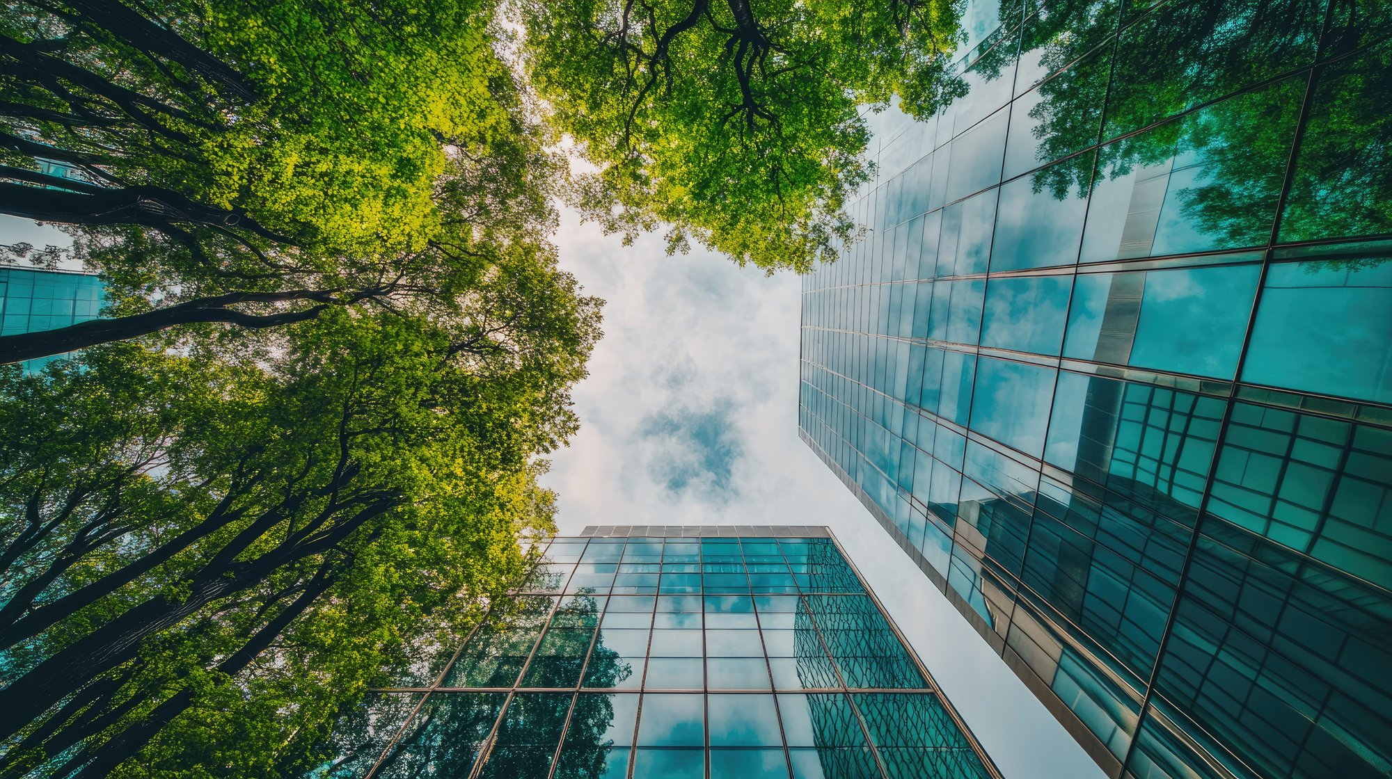 AdobeStock_1055684817