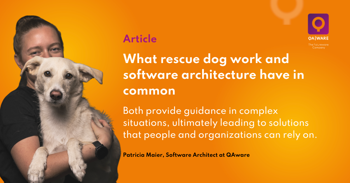 Rescue dog work and software architecture have this in common